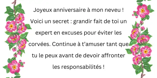joyeux anniversaire mon neveu humour 1 Joyeux Anniversaire Mon Neveu Humour