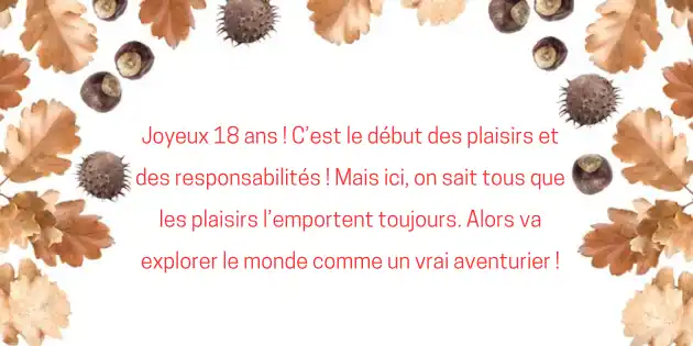 texte anniversaire 18 ans garçon humour 2 idee texte anniversaire 18 ans garcon:- 50+ Souhaits d’anniversaire amusants et touchants