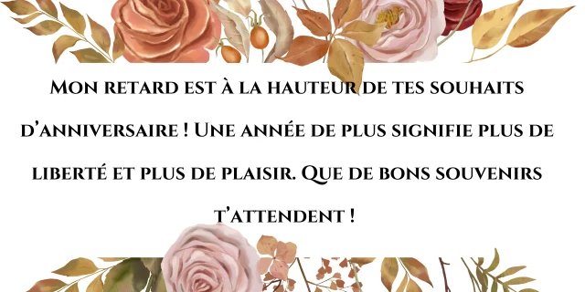 Joyeux anniversaire en retard 3 Joyeux Anniversaire Retard Humour