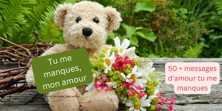 tu me manques mon amour