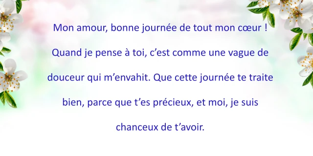 Bonne Journée Mon Amour