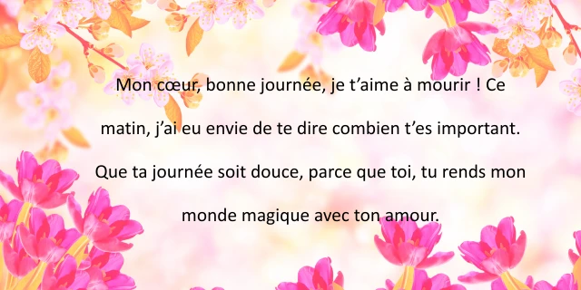 Bonne Journée Mon Amour Je t’Aime