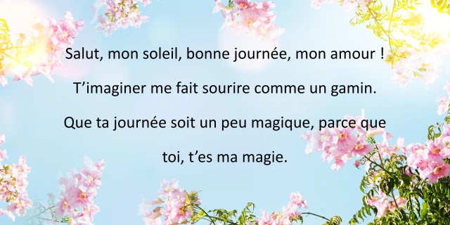 Message bonne journée mon amour