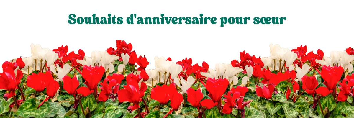 Meilleurs Messages d'anniversaire Pour Sœur 1 Souhaits d'anniversaire pour sœur