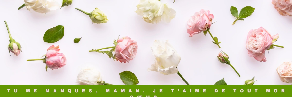 Tu me manques maman. Je taime de tout mon coeur